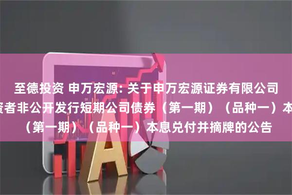 至德投资 申万宏源: 关于申万宏源证券有限公司2025年面向专业投资者非公开发行短期公司债券（第一期）（品种一）本息兑付并摘牌的公告